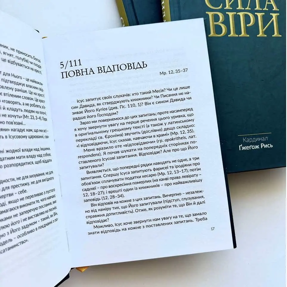 Сила віри - Ґжеґож Рись - фото 3
