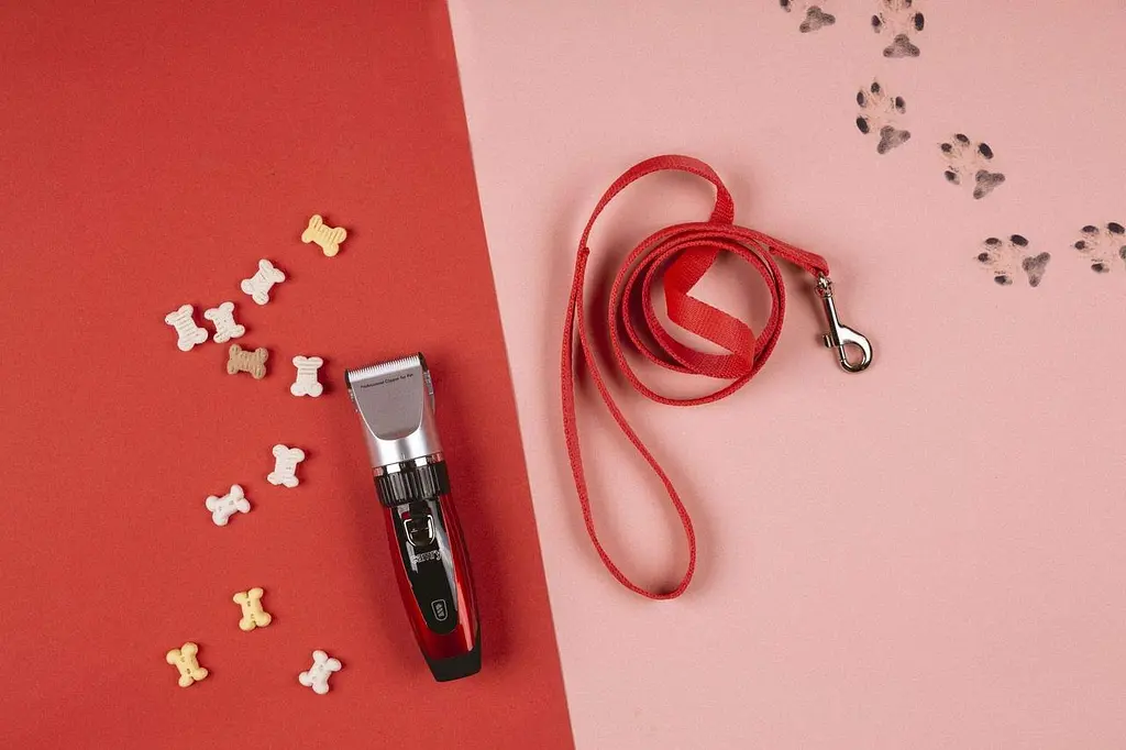 Машинка для стрижки животных Camry CR 2821 аккумуляторная + насадки керамическое лезвие 35 Вт - фото 7