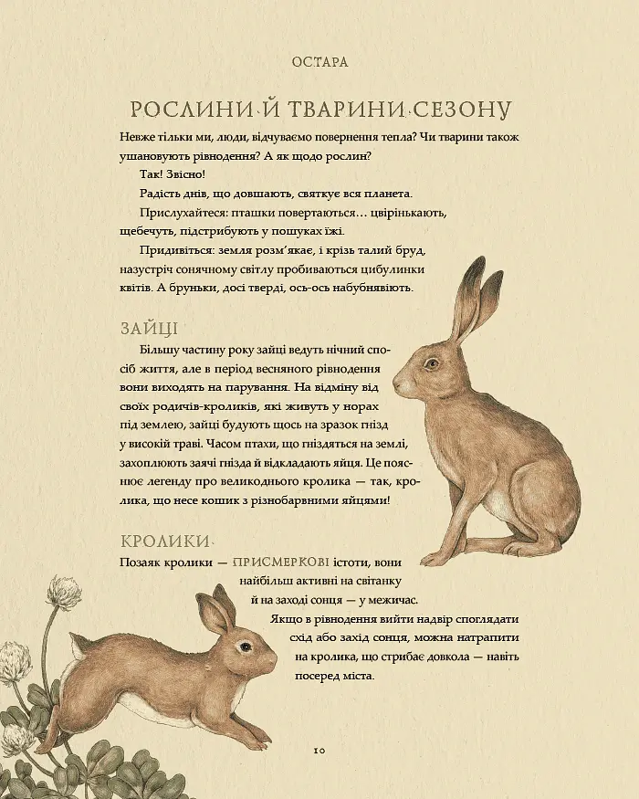 Колесо року. Ілюстрований путівник ритмами природи - Джессіка Ру - фото 8