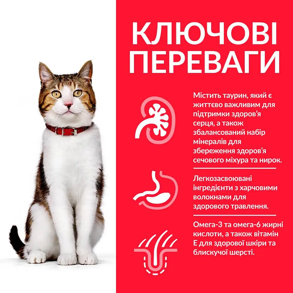 Сухий корм Hill's SP Mature Adult 7+ для зрілих котів від 7 років з куркою 3 кг - фото 2