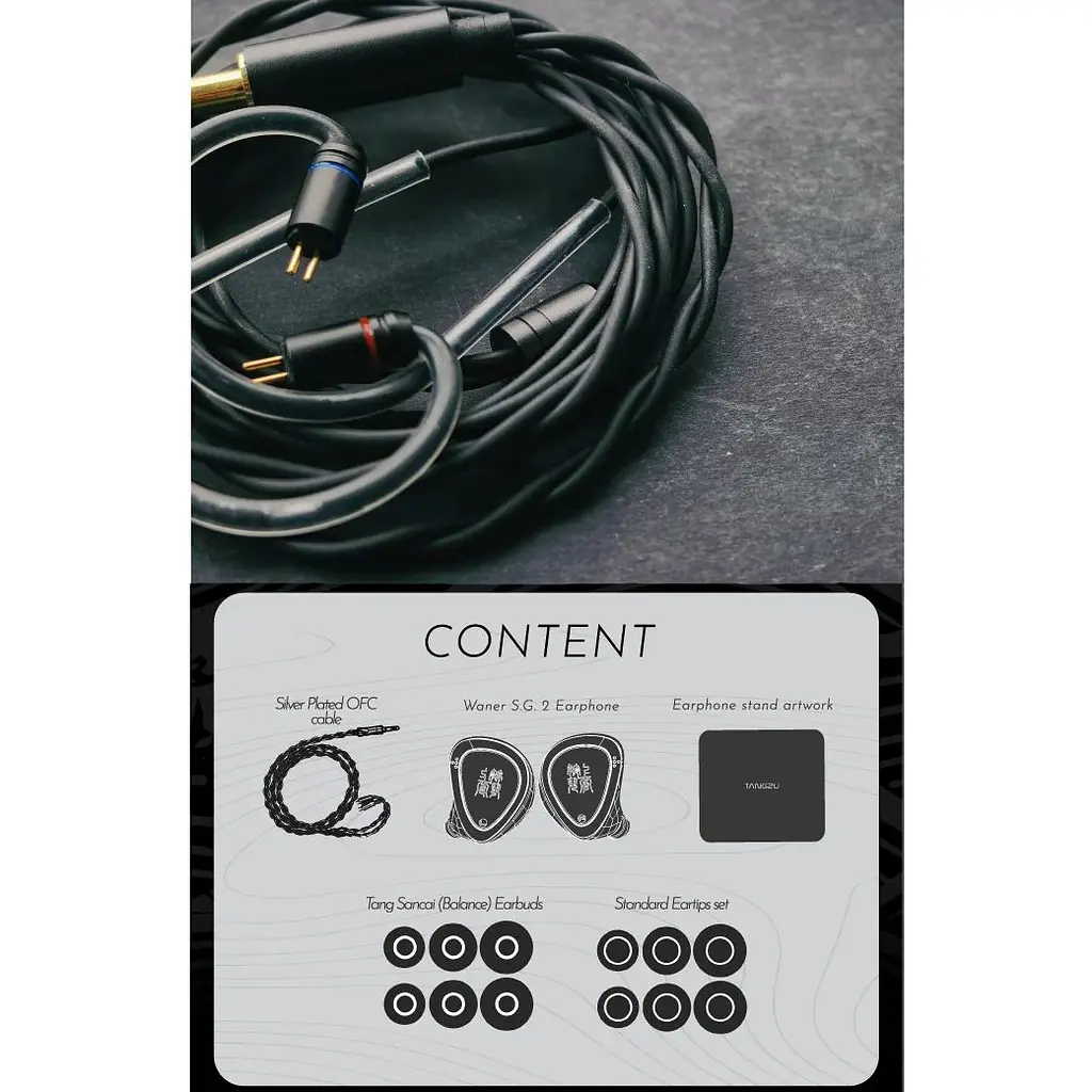 Проводные наушники IEM Tangzu Waner SG 2 with MIC Type-C (Черный) - фото 4