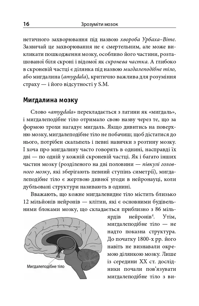 Зрозуміти мозок. Нейронаукові дослідження механізмів роботи мозку і його викрутасів - фото 14