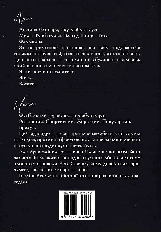 Розбитий лицар - фото 2