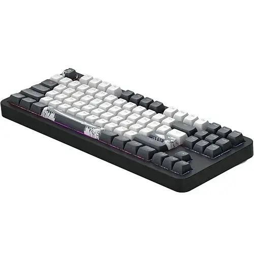 Клавіатура Dark Project ALU87 Bushido, Black/White, ENG/UA, USB, RGB підсвічування, кабель 1.8 м, 87 кнопки (DPKB_BUSHIDO_87_ANSI_UA) - фото 5