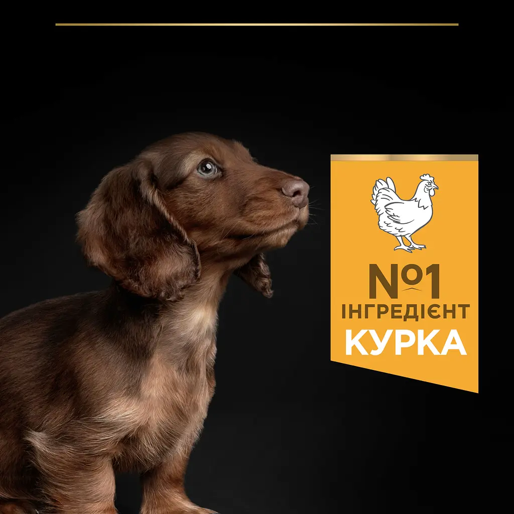 Сухой корм Purina Pro Plan Small & Mini Puppy <1 Healthy Start для щенков мелких пород с курицей 3 кг (12272132) - фото 6