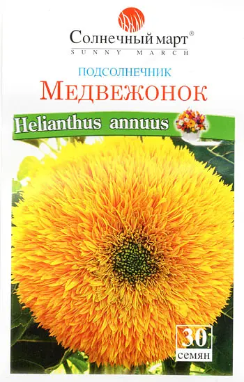 Насіння соняшнику Ведмежа 30 шт (Сонячний Березень)