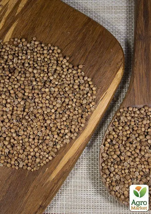 Насіння Agro-Market Кінза на вагу ціна за 20 г (13357) - фото 2