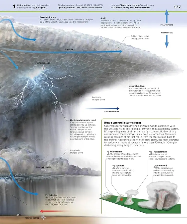 Knowledge Encyclopedia Science! 2nd Edition - фото 7