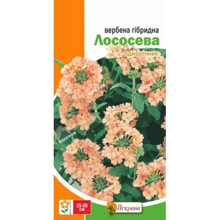 Вербена ЯСКРАВА гібридна Лососева (20 пачок) 0,1г