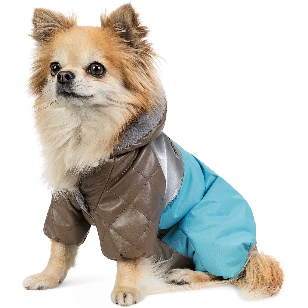 Комбінезон для собак Pet Fashion Сharlie ХS блакитний - фото 3