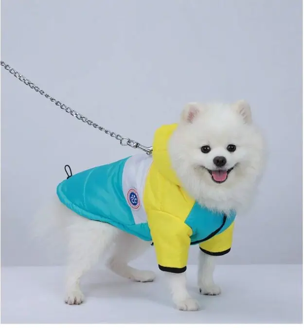 Куртка для собак и котов EcoToys Yellow-Blue S желто-голубая A: 26 см B: 41 см C: 26 см 6923 - фото 3