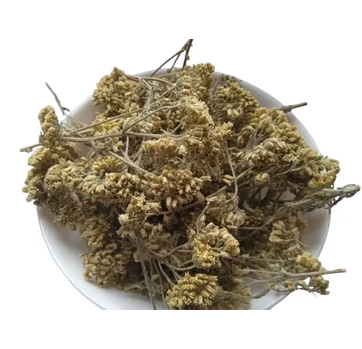 Деревій звичайний Цвіт Тисячолистник Кривавник Маточник Achillea millefolium - фото 2