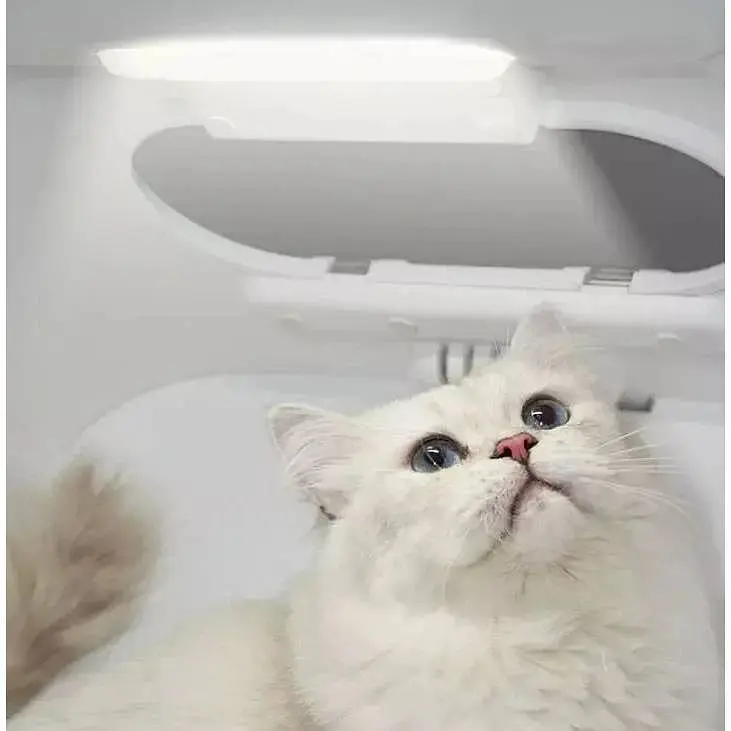 Смарт-сушка Petkit Airsalon Max Pro Smart Pet Dryer Box (PD10) - фото 2