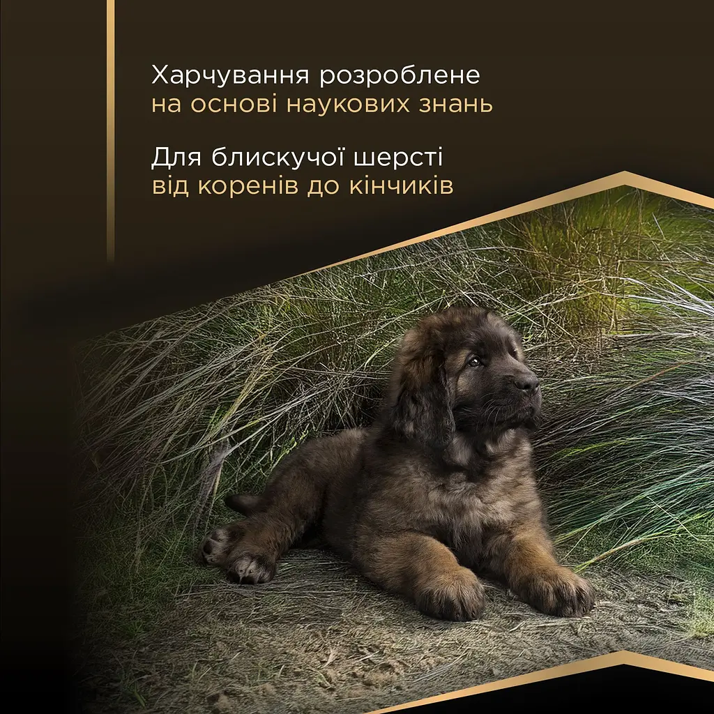 Сухий корм Purina Pro Plan для цуценят великих порід з чутливим травленням з лососем 12 кг - фото 7