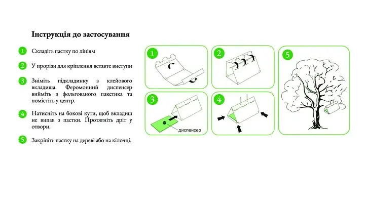 Феромонна пастка від деревниці в'їдливої - фото 6