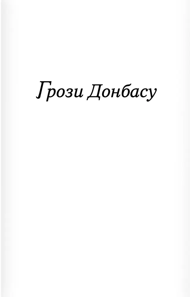 Донбас як метафора - Катерина Яковленко - фото 4
