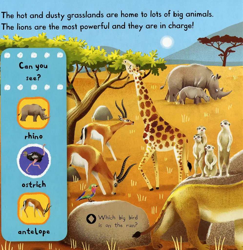 First Explorers. Wild Animals - фото 2