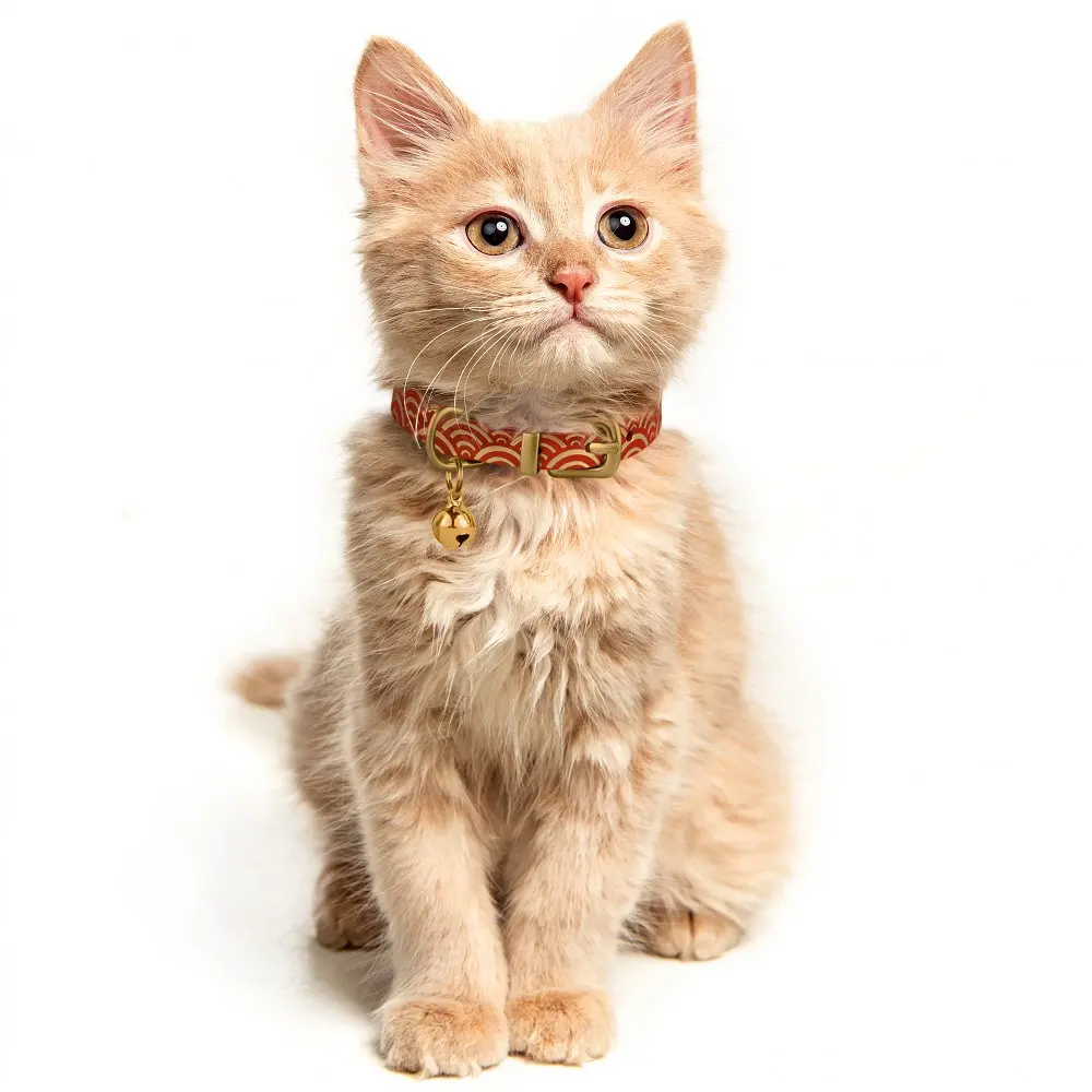 Ошейник для кошек BronzeDog Barksi Classic Море кожаный одинарный с золотым тиснением 2XS 18-25х1 см красный - фото 4