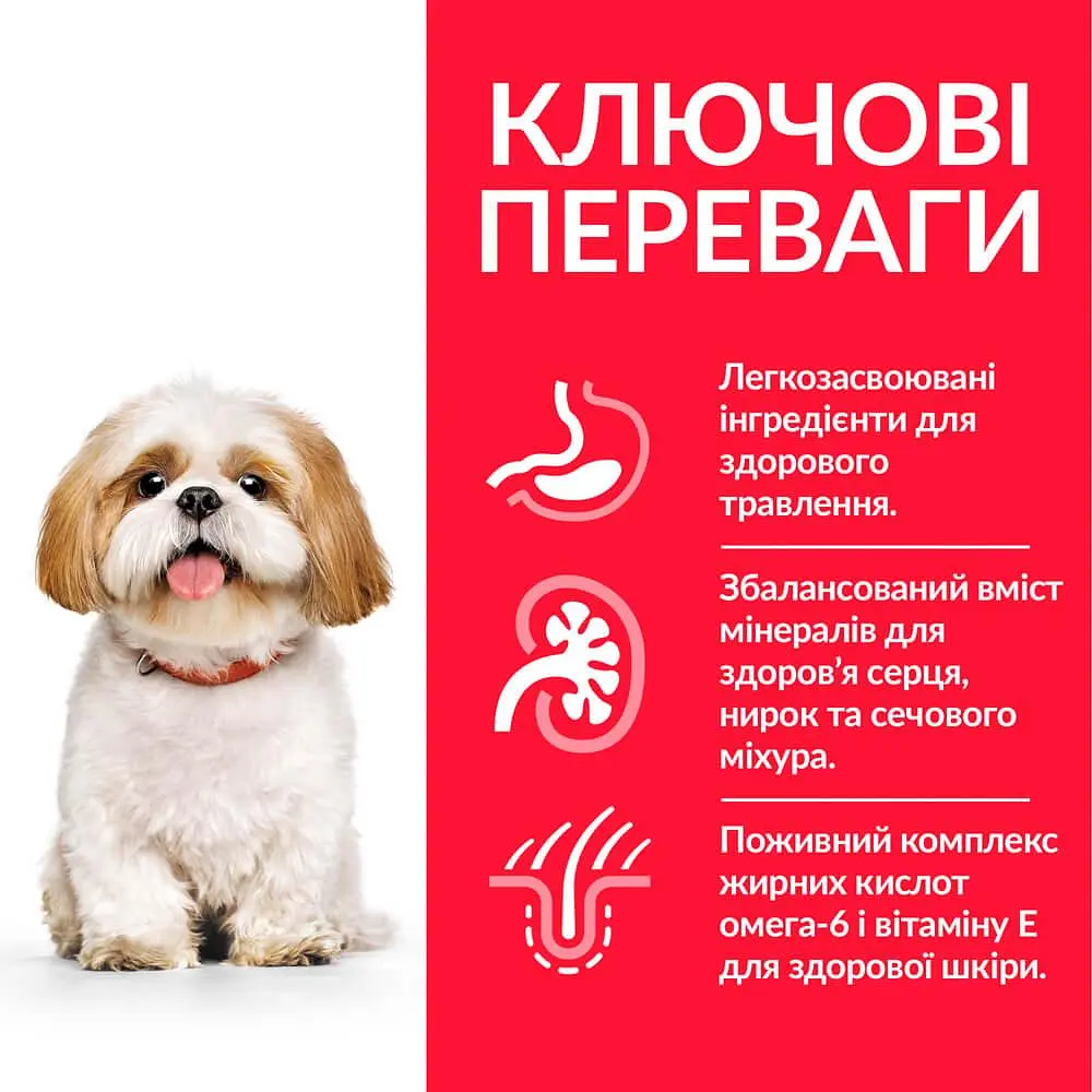 Сухой корм Hill's SP Mature Adult 7+ Small&Mini для зрелых малышей и мини собак от 7 лет с курицей 1.5 кг - фото 3