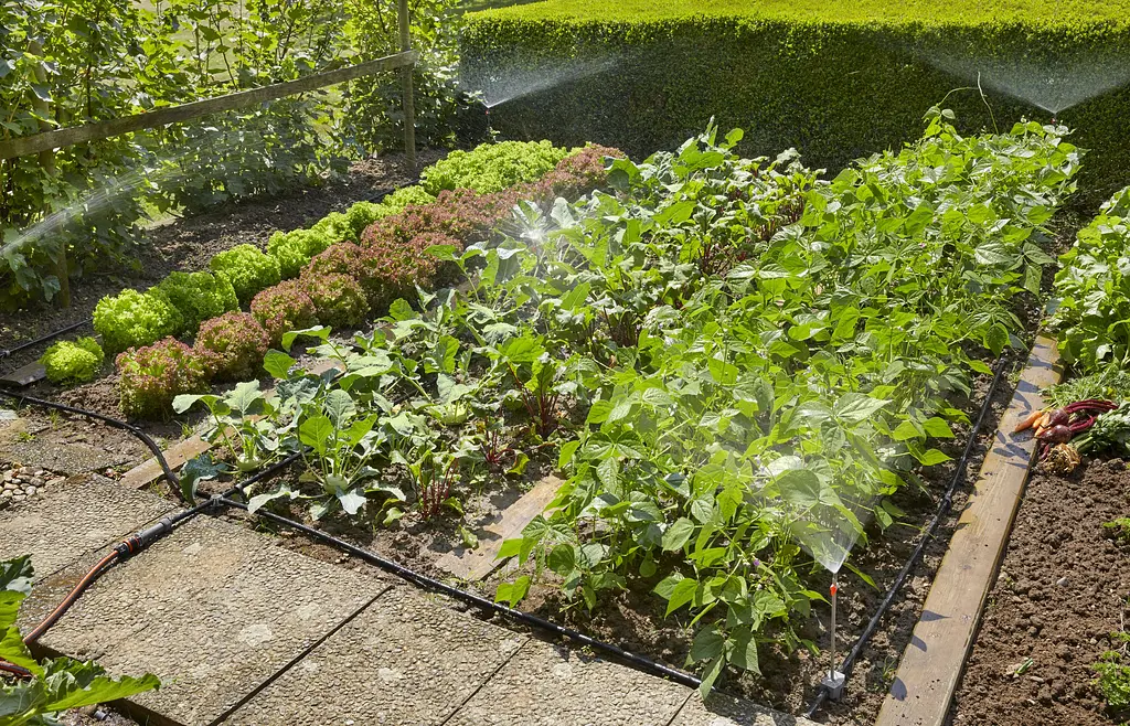 Комплект мікрокрапельного поливу Gardena Micro-Drip-System для клумб та грядок (13015-20) - фото 2
