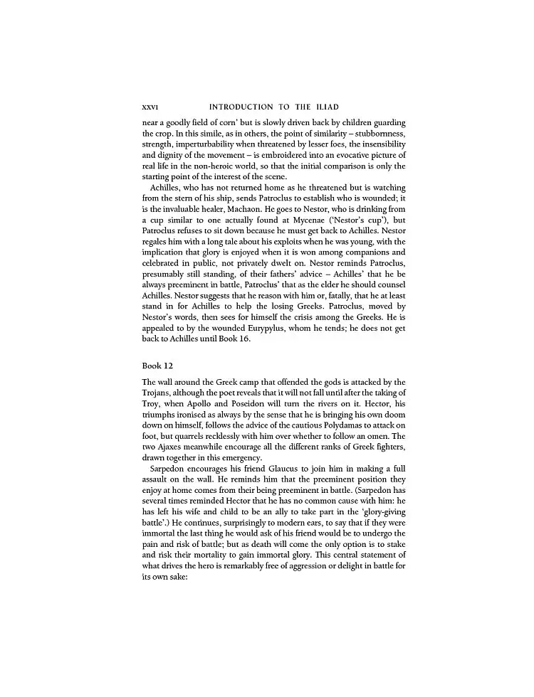 The Iliad and the Odyssey - фото 18