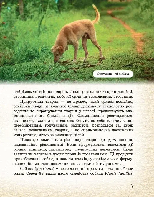 Тварини навколо нас - фото 4