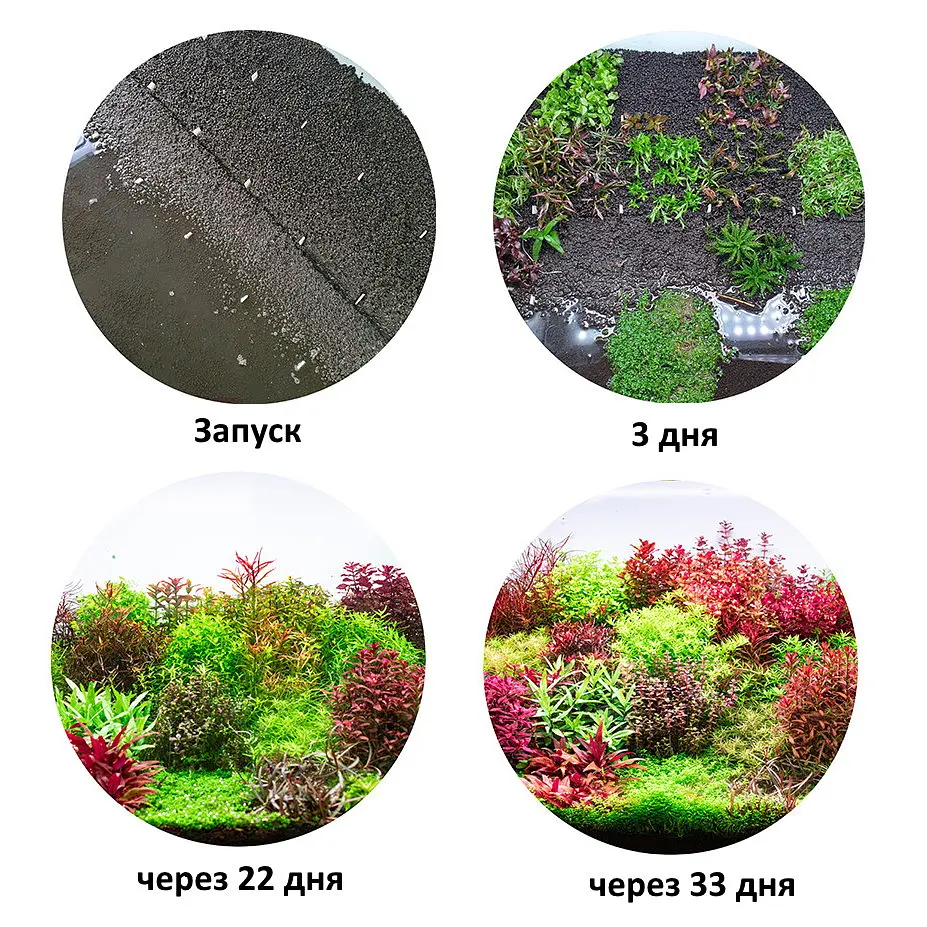 Грунт для акваріума Aquario Neo Soil Plant 3 л (neo-soil-plant-3) - фото 6