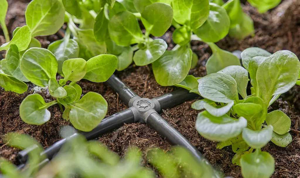 З'єднувач хрестоподібний Gardena Micro-Drip-System для шлангів 4,6 мм, 10 шт (13214-20) - фото 3
