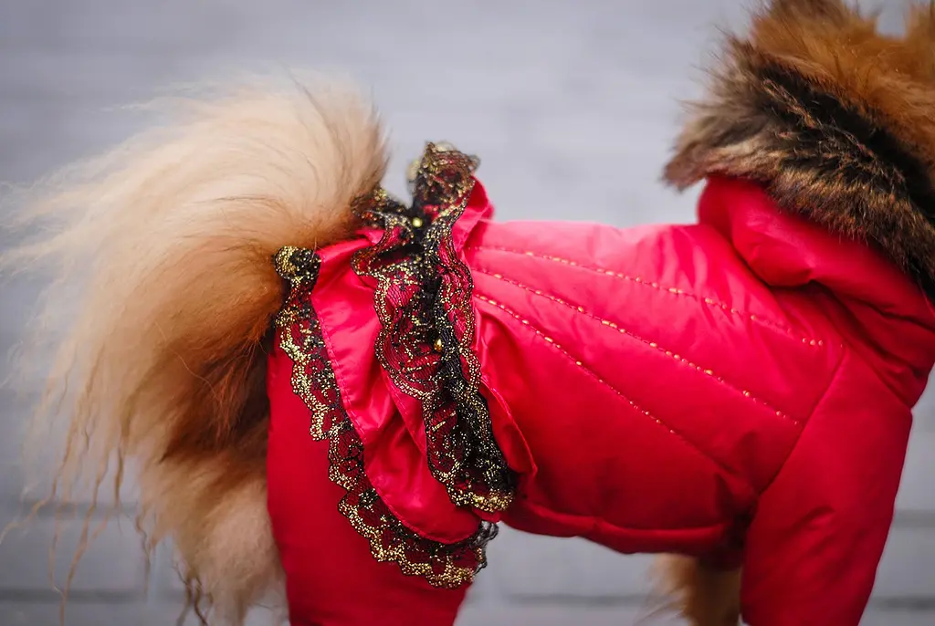 Комбінезон Smart Pet Glamour - фото 2
