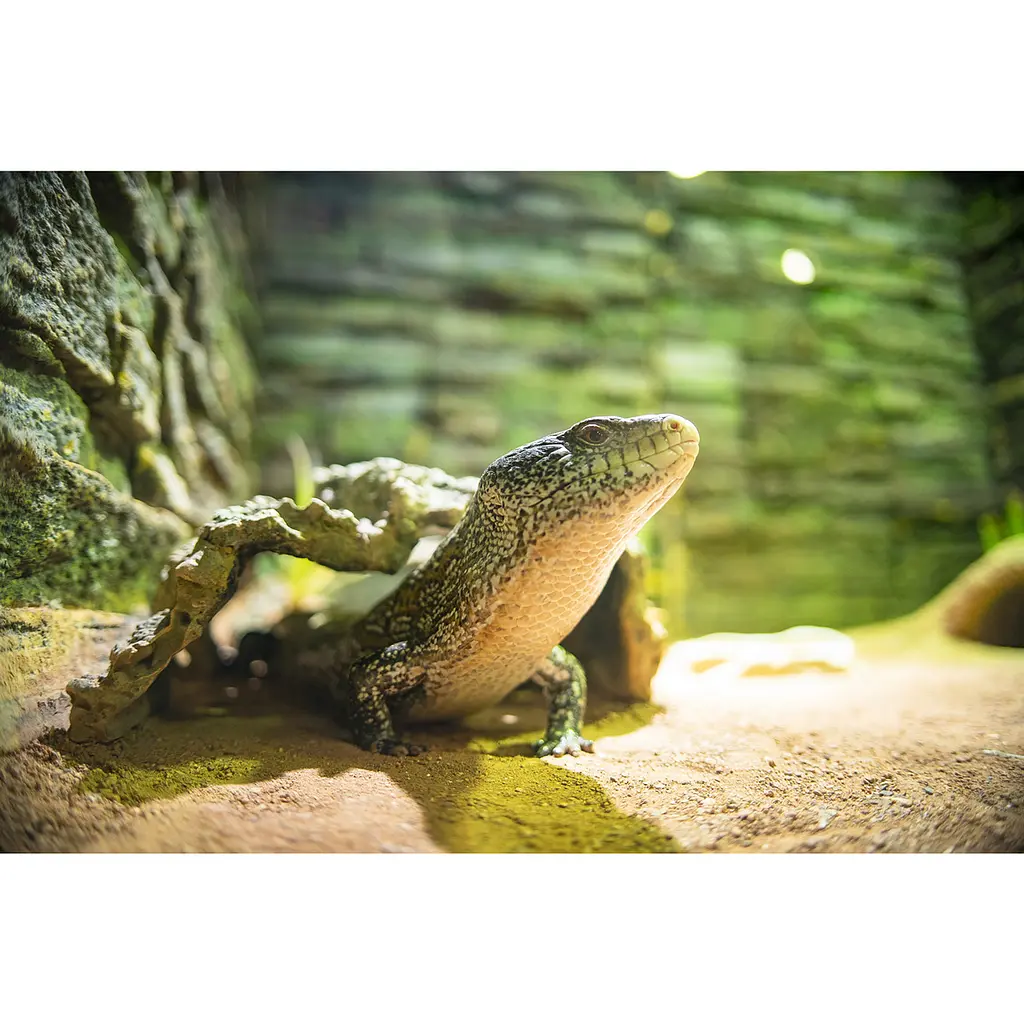 Об'єктив Laowa 17mm f/1.8 для Micro Four Thirds, Світлосила f/1.8 - фото 2