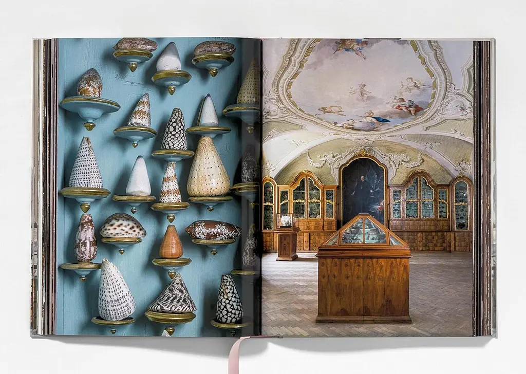 Massimo Listri. Cabinet of Curiosities - фото 2