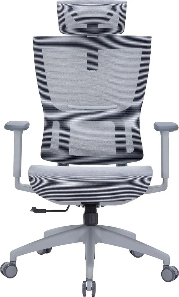 Офісне крісло OfficePro Elegant OC660-G-DG-DG (OC660-G-DG-DG) - фото 2