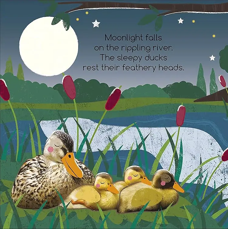 Flip Flap Find! Night-time Animals - - фото 4