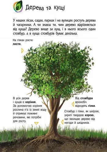 Дитяча енциклопедія про природу 614008 для дошкільнят - фото 3
