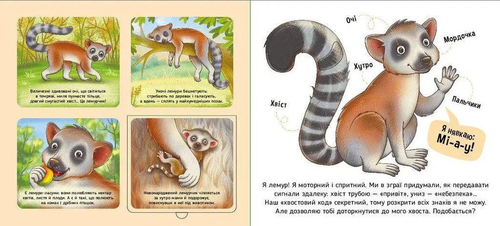 Тактильна книжка для найменших.Познайомся і погладь. Тварини світу А1455008У - фото 2