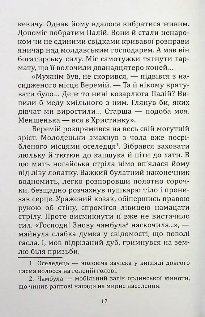 Шалена Богдана - Віктор Васильчук - фото 11