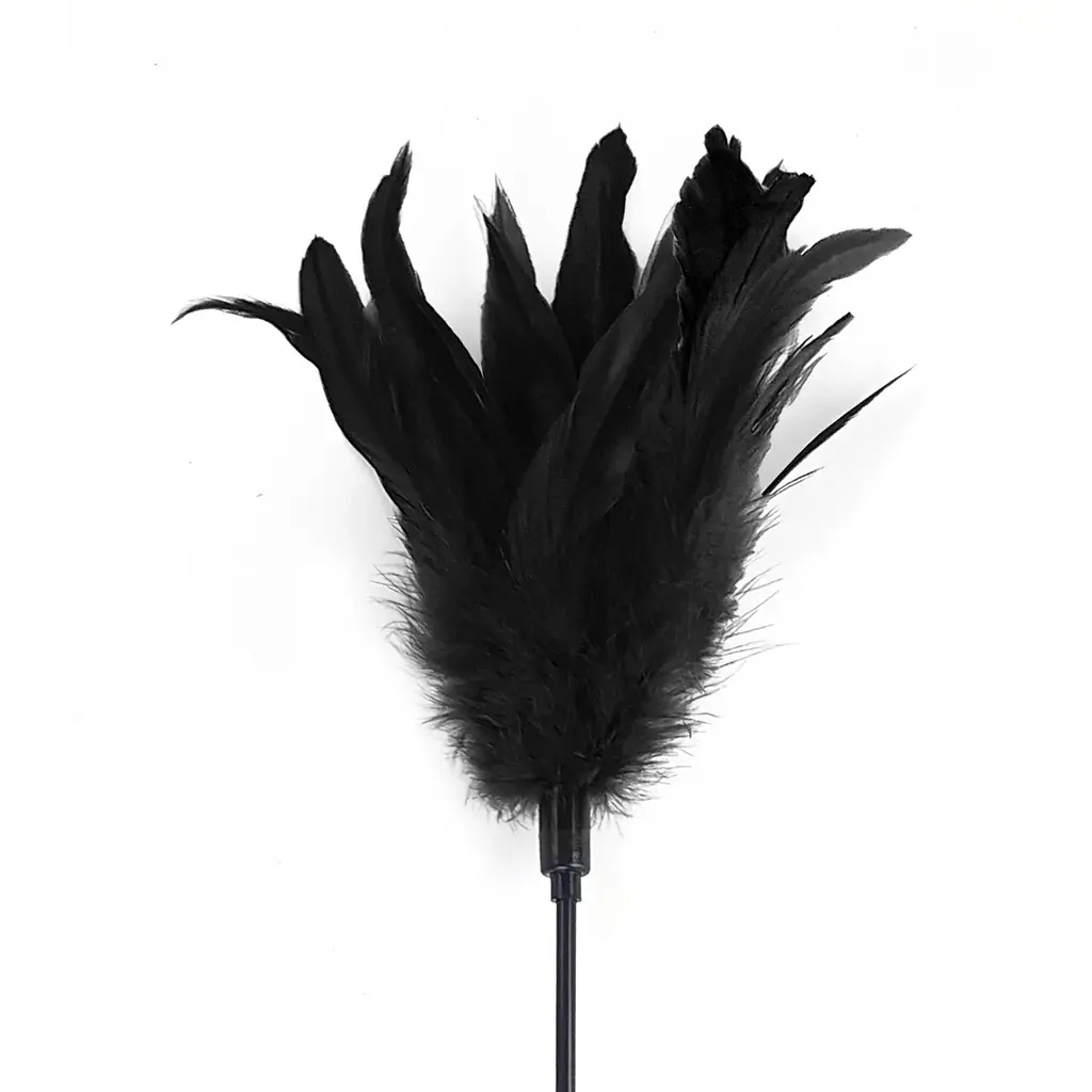 Лоскітка Art of Sex - FeaTher Paddle чорна - фото 2