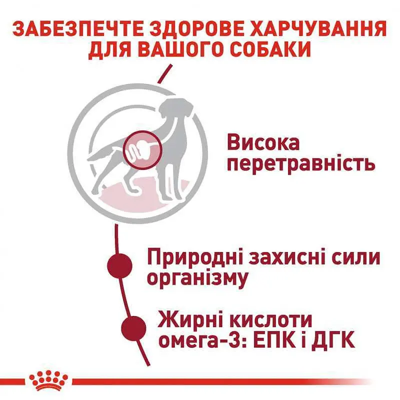 Вологий корм Royal Canin Medium Adult для дорослих собак середніх порід 1.4 кг (10 шт. х 140 г) - фото 4