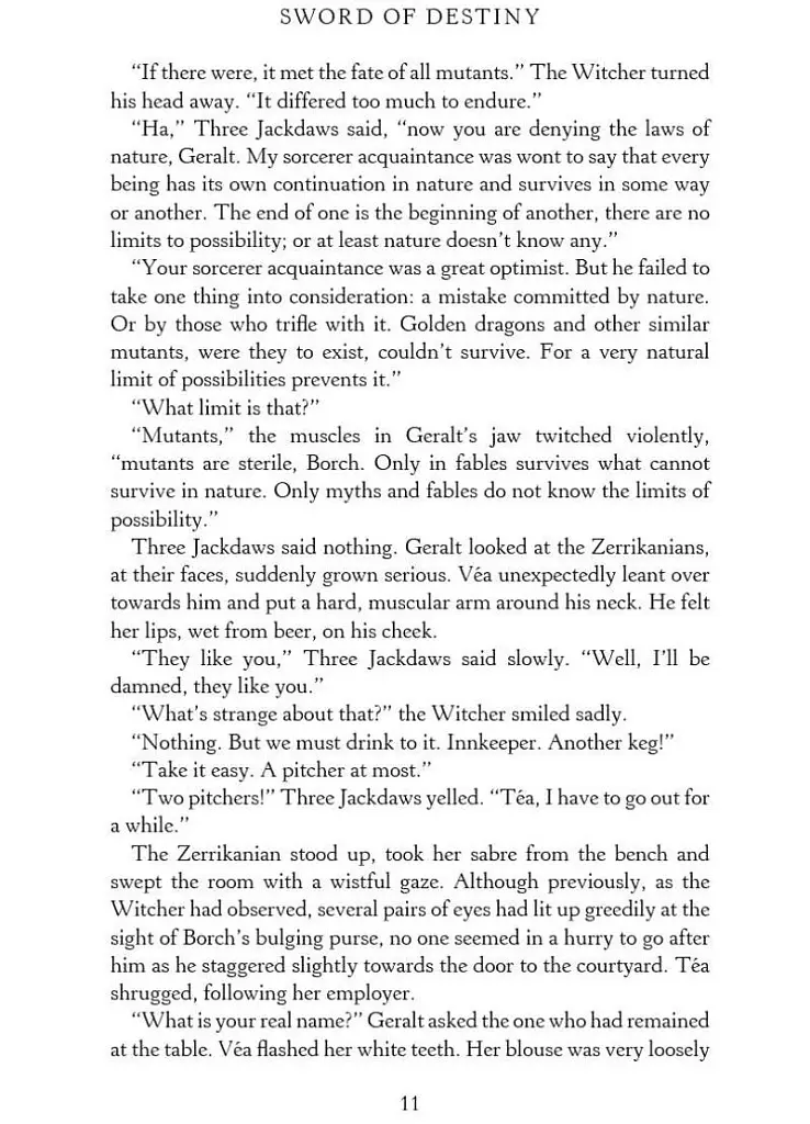 The Witcher. Sword of Destiny - фото 5