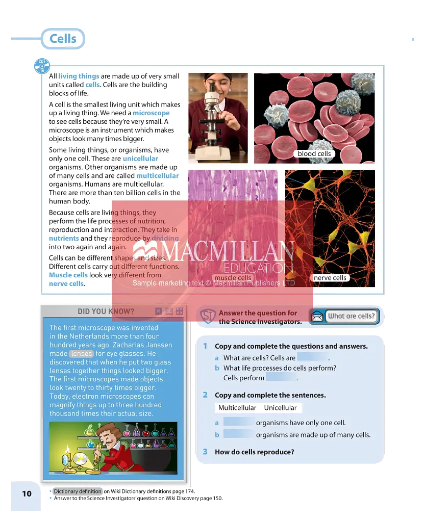 Macmillan Natural and Social Science. Level 5. Pupil's Book - фото 7