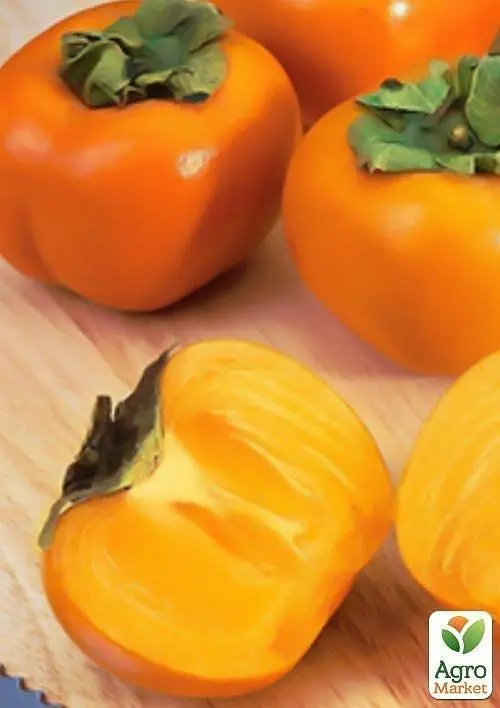 Саджанець Agro-Market Хурма Мідер на віргінській морозостійкій підщепі 1 шт. в упаковці (21382) - фото 5