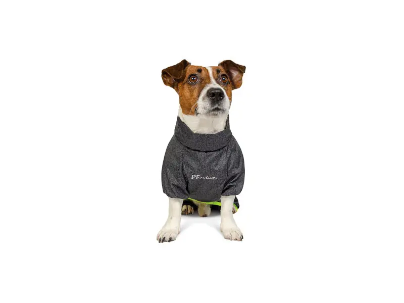 Комбінезон для тварин Pet Fashion "RAIN" XS (4823082416431) - фото 2