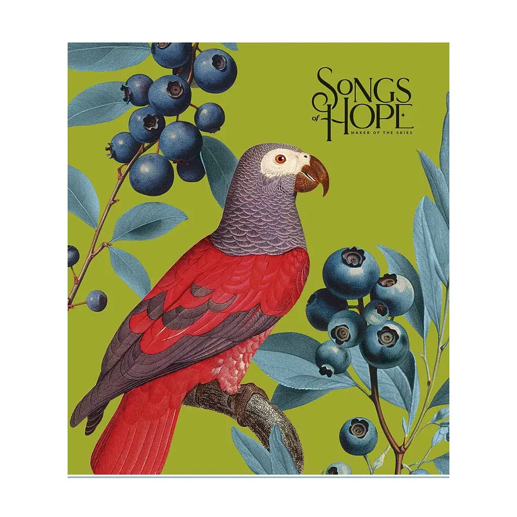 Зошит Школярик Birds 60 аркушів клітинка (060-3410K), в асортименті - фото 2