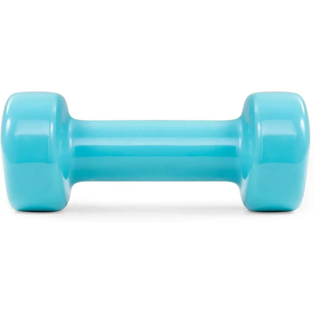 Гантели для фитнеса Hop-Sport виниловые круглые HS-V020DC 2х2кг - фото 3