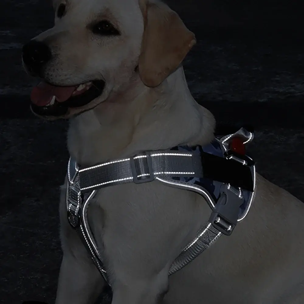 Нагрудна шлея для собак Reflective safety chest harness for pet dogs, S Зелений - фото 3