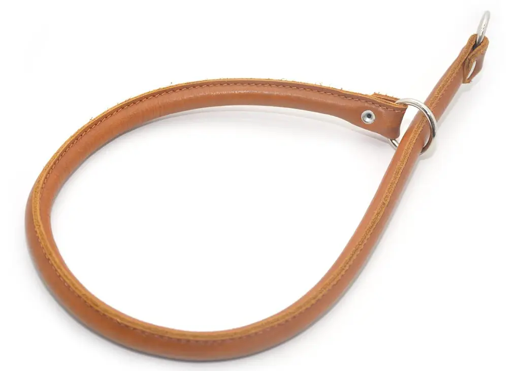 Нашийник рингування для собак Zoo-hunt круглий шкіряний РК рудий РК 1,2/50 см - фото 2