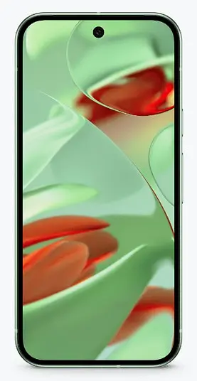 Смартфон Google Pixel 9 12/128GB Wintergreen - фото 3