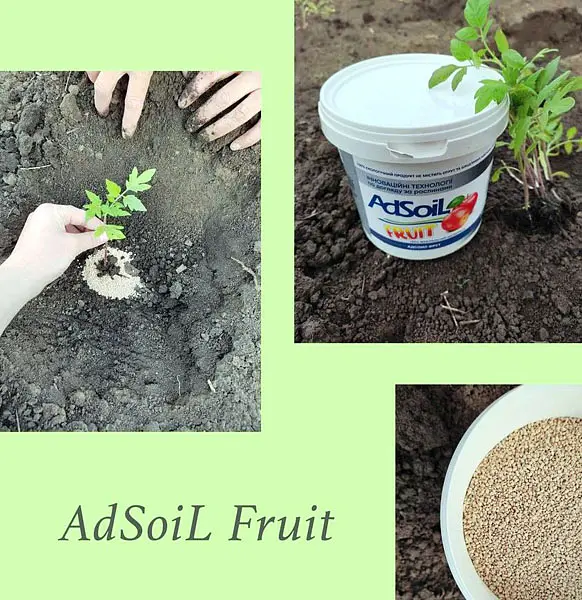 Ґрунтополіпшувач для плодово-ягідних AdSoil Fruit 2.2 л - фото 4
