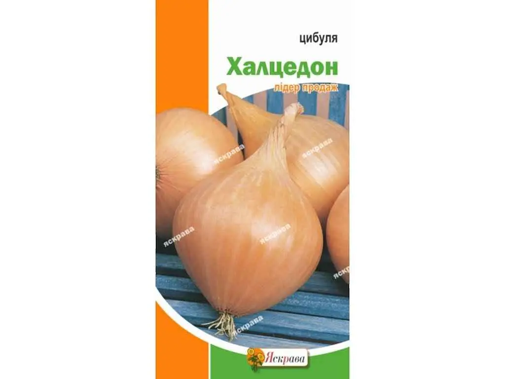 Цибуля ЯСКРАВА Халцедон (20 пачок) 1г