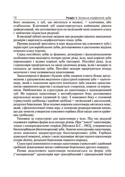 Основи клінічної морфології зубів - Рудольф Самусев - фото 11